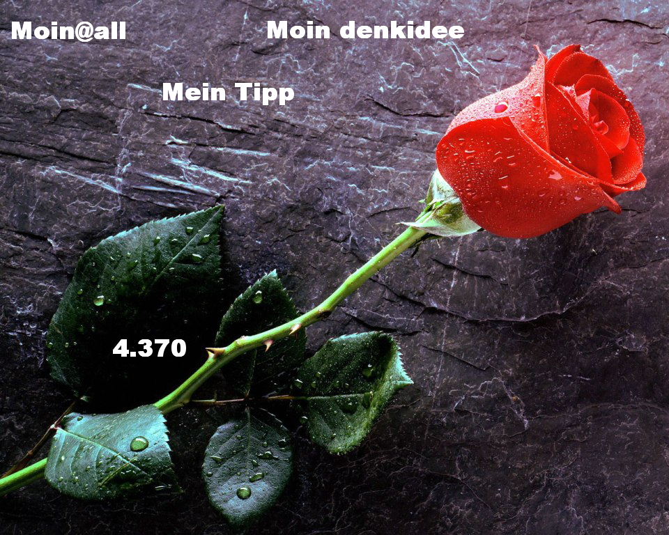 960.DAX Tipp-Spiel,Do,22.01.09, 17.45 Uhr 211923