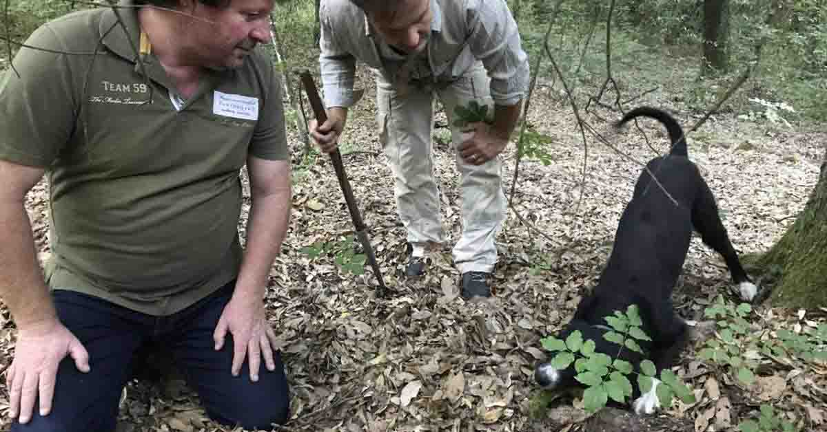 Daimler 2011 Daimler 2011 Daimler 2011 1230680