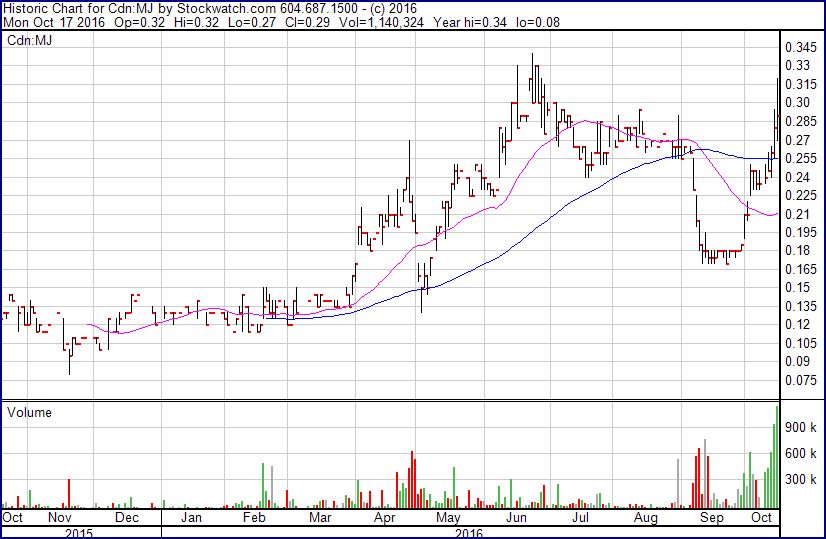 TRUE LEAF erhält Marijuana-Lizenz als nächstes? 946010