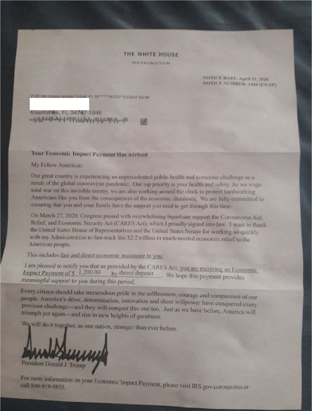 Der USA Bären-Thread 1175748