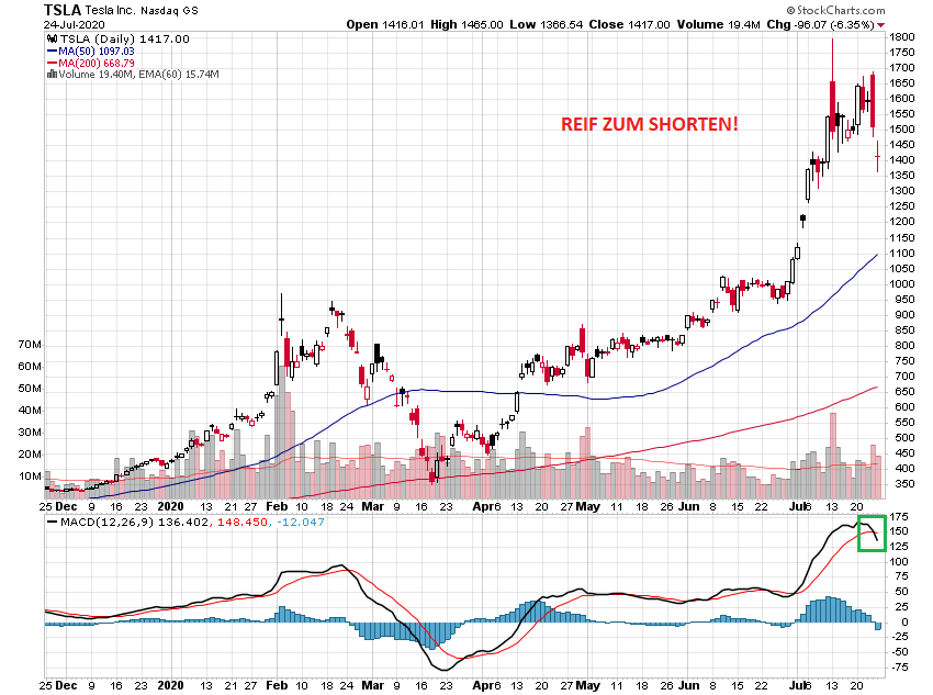 Der USA Bären-Thread 1192344