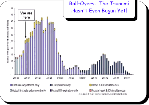 Der USA Bären-Thread 116064