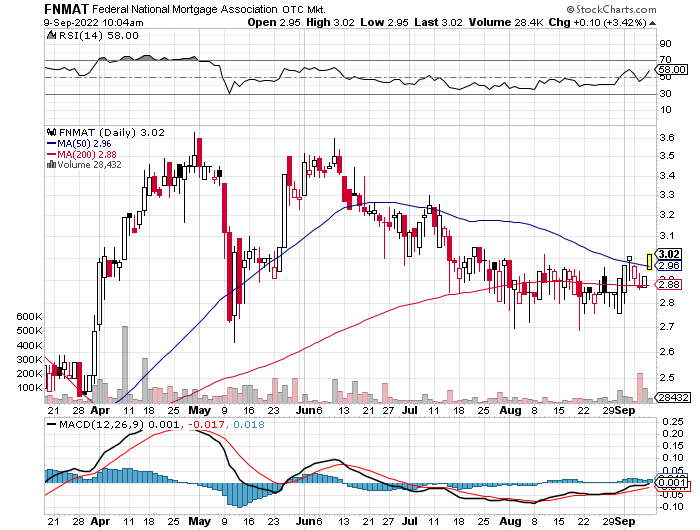 Fannie Mae - Chance auf Verdreifachung bis Juli 1332224
