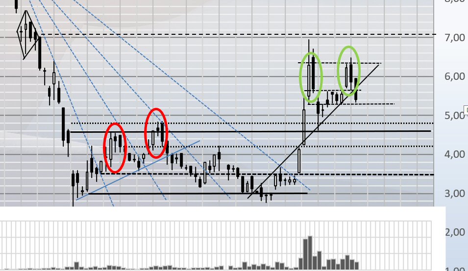 TUI 2007: Erholung oder Zerschlagung? 1184018