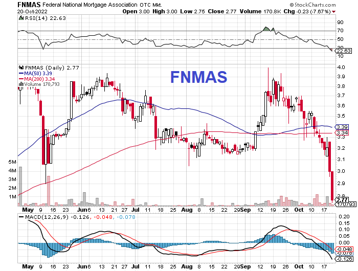 Fannie Mae - Chance auf Verdreifachung bis Juli 1338538