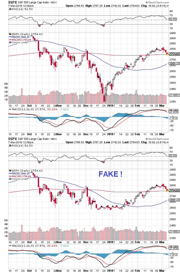 Der USA Bären-Thread 1100659
