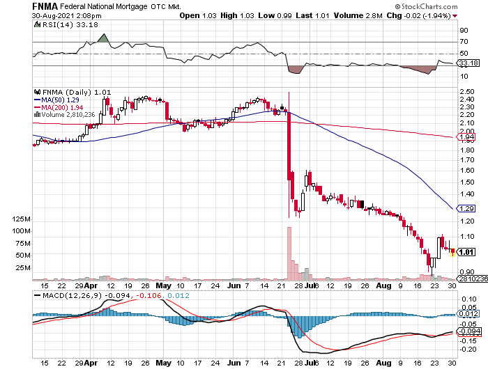 Fannie Mae - Chance auf Verdreifachung bis Juli 1271572