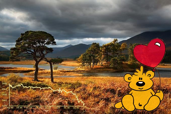 Der USA Bären-Thread 271258