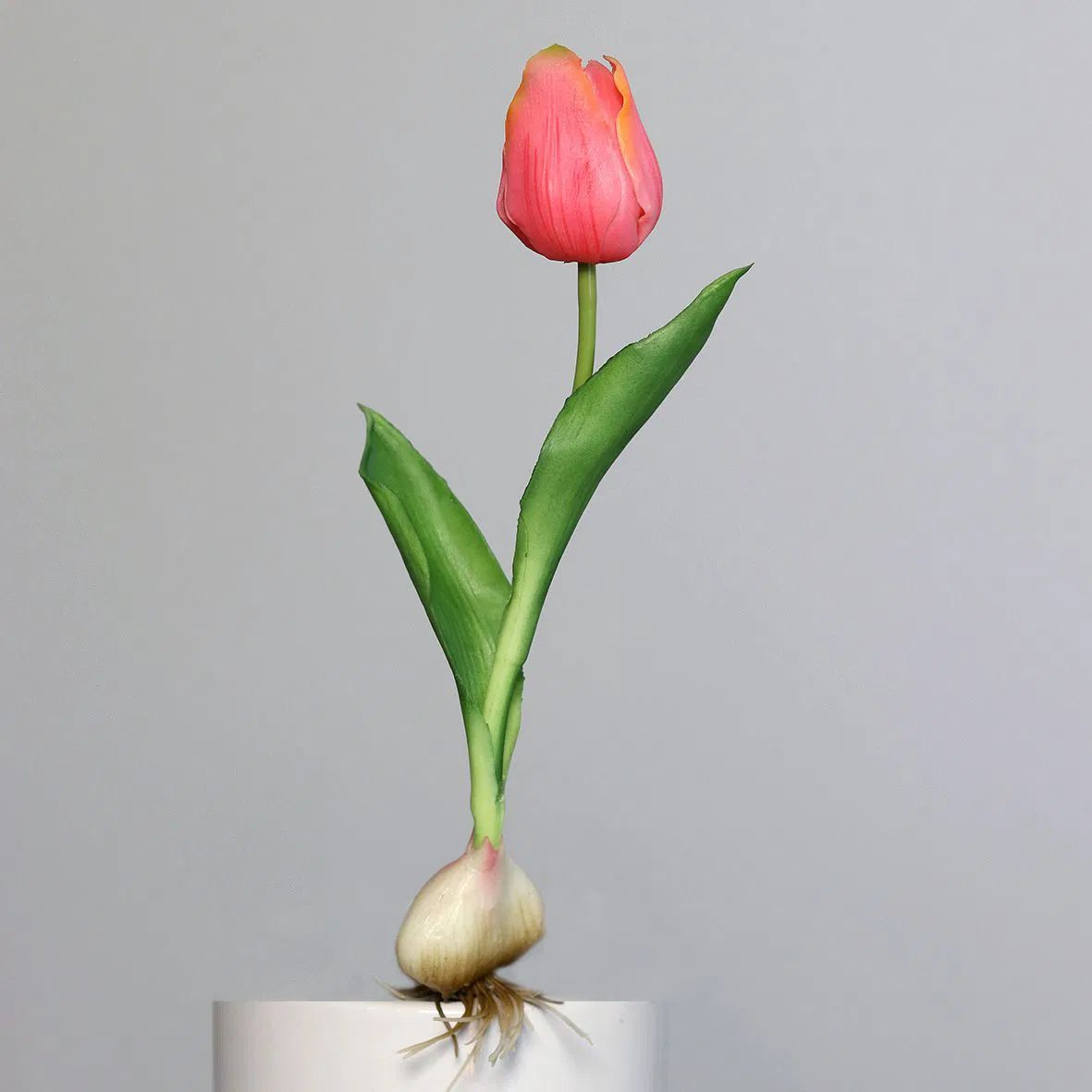 Bitcoin - mehr als eine Spekulationsblase? 1478209