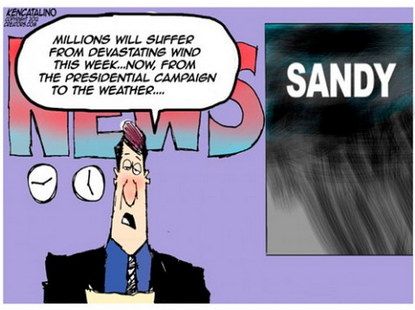 Der USA Bären-Thread 548719