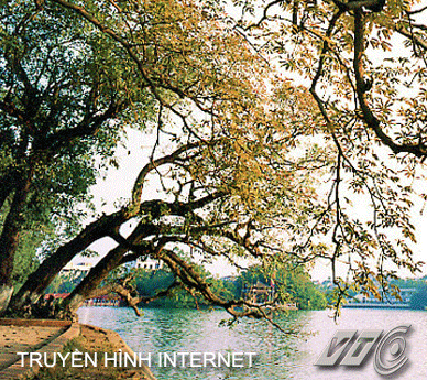 Vietnam Opportunities +++ 81661