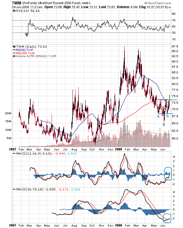 Der USA Bären-Thread 171047