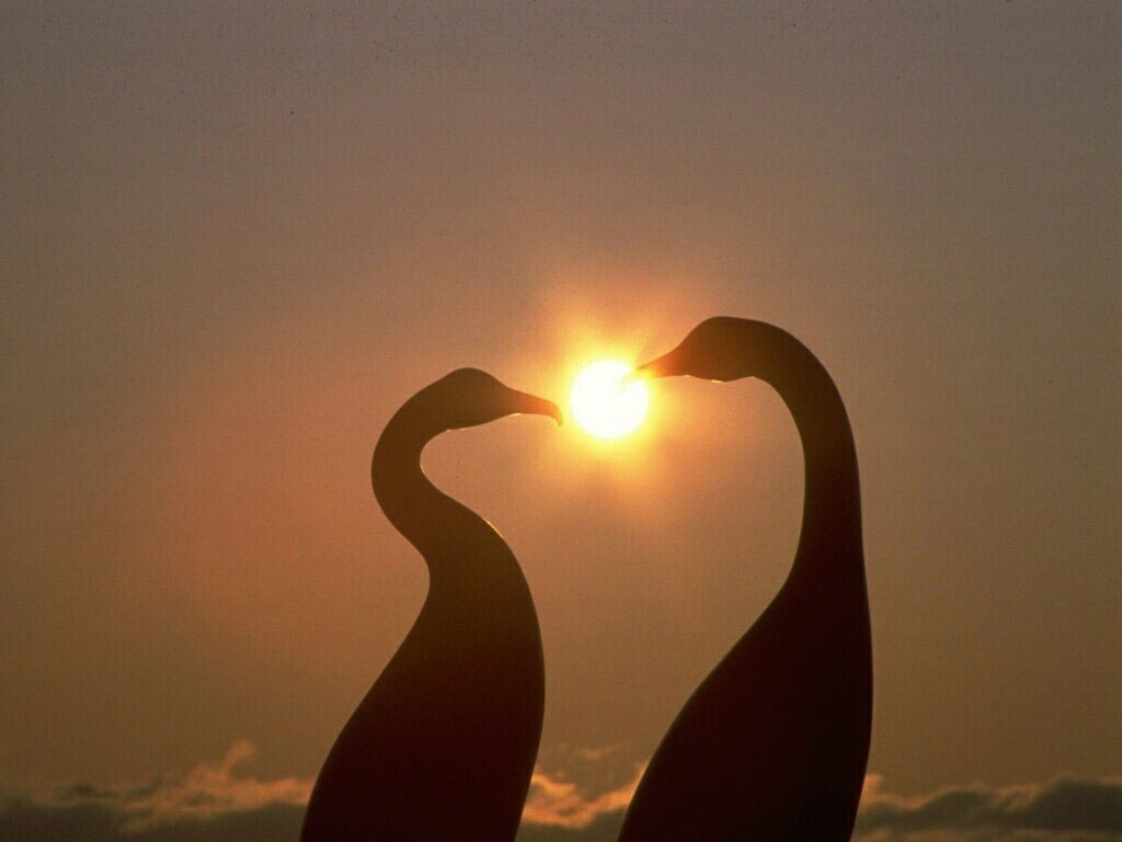 894.DAX Tipp-Spiel *Mittwoch* 15.10.08, 17.45 Uhr 192510