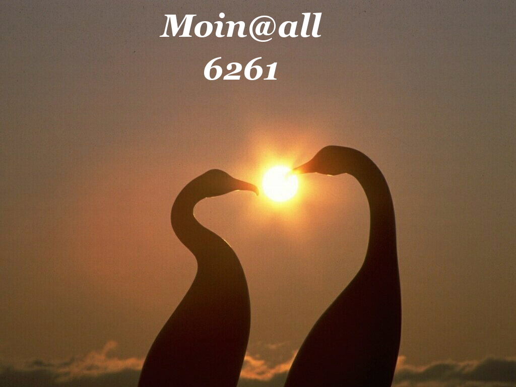 1.276.DAX Tipp-Spiel, Donnerstag, 22.04.10 314718