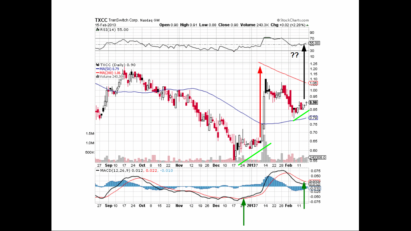 Wesleys Flugschule - US Auslese 579374