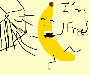 Netcents Technology Thread moderiert A2AFTK 1186369