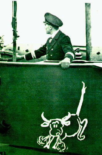 Der USA Bären-Thread 184951