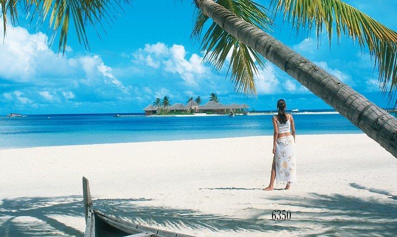 855.DAX-Tipp-Spiel **Do.** 21.08.08-17.45 Uhr 181156