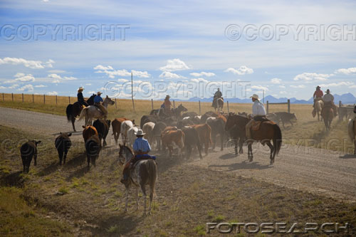 802.DAX Tipp-Spiel, Montag, 09.06.08, 17:45 Uhr 167675