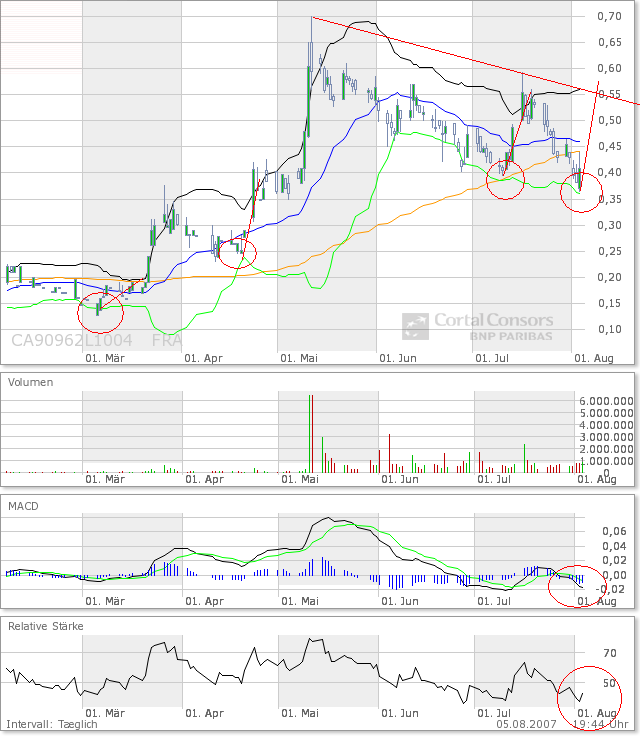 United Bolero 112904