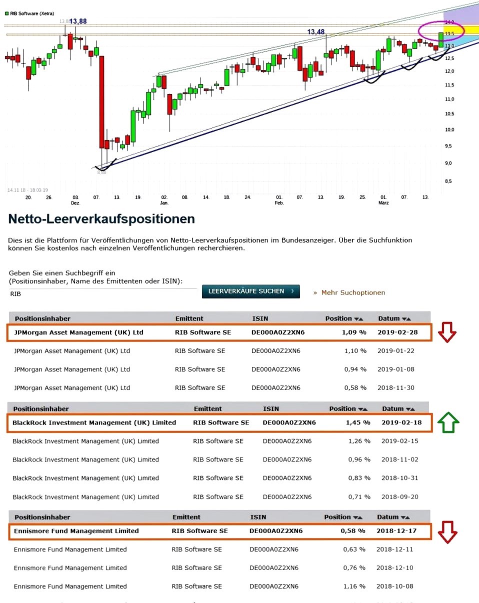 RIB Software AG 1102417