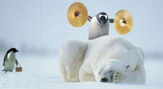 Qimonda - auf dem Weg zum Pennystock? 206684