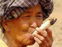 Norde Pro und Kontra 449768