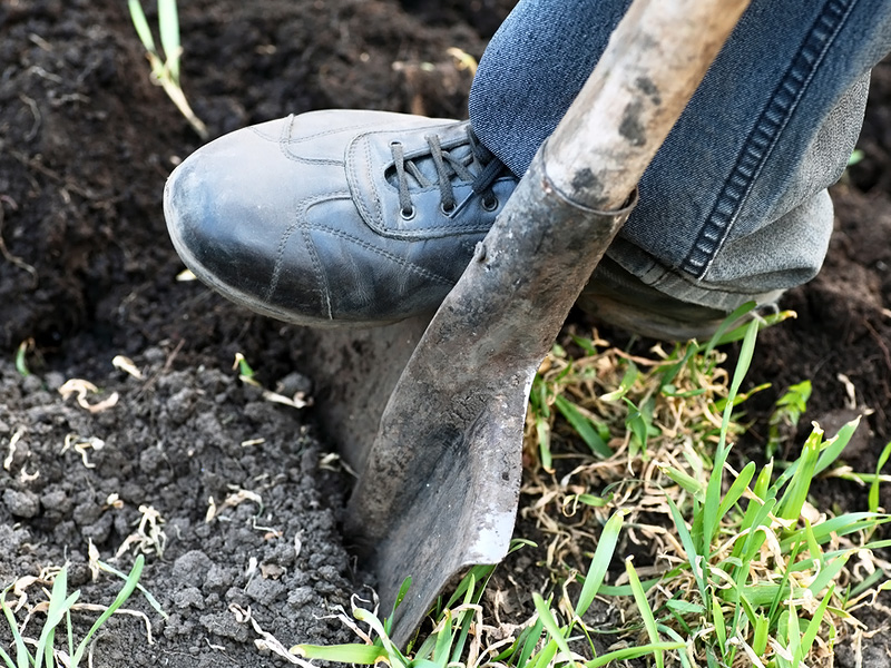 E.on SE - Chance oder Risiko 657653