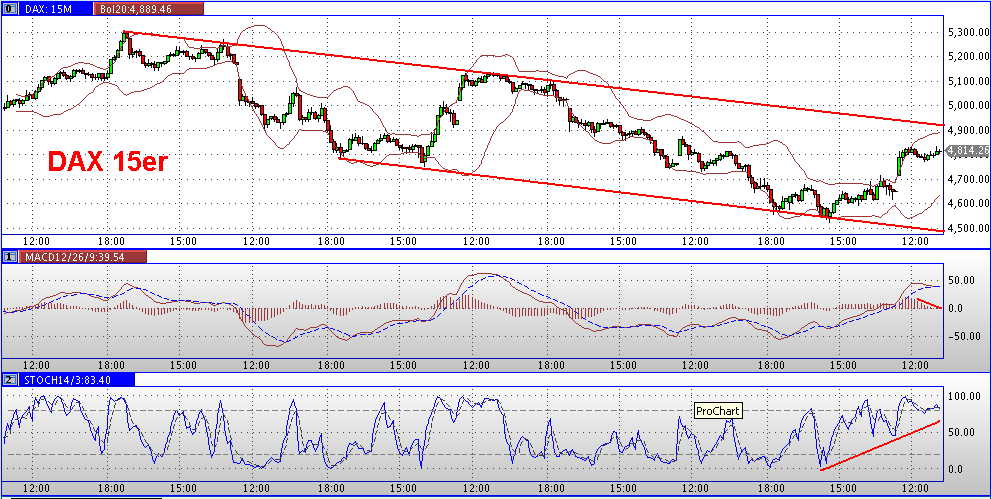 Die Bullen scharren gar nicht mit den Hufen, 199540