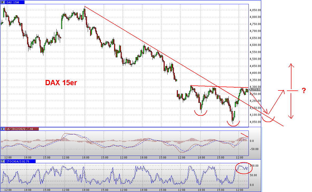 Die Bullen scharren gar nicht mit den Hufen, 201513