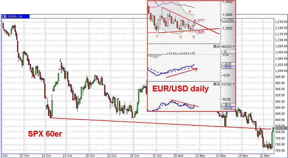 Die Bullen scharren gar nicht mit den Hufen, 201557
