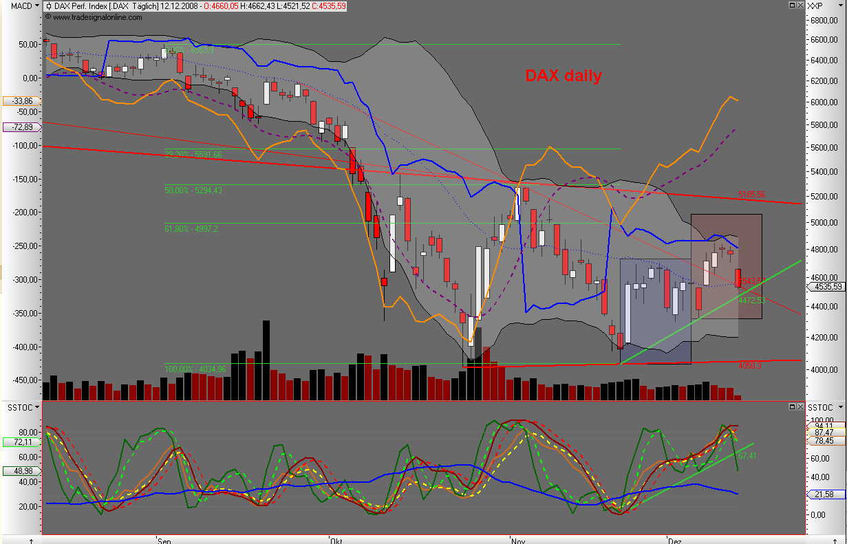 Die Bullen scharren gar nicht mit den Hufen, 205236