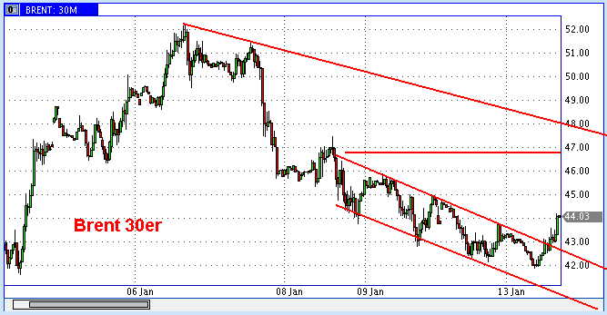 Die Bullen scharren gar nicht mit den Hufen, 210151