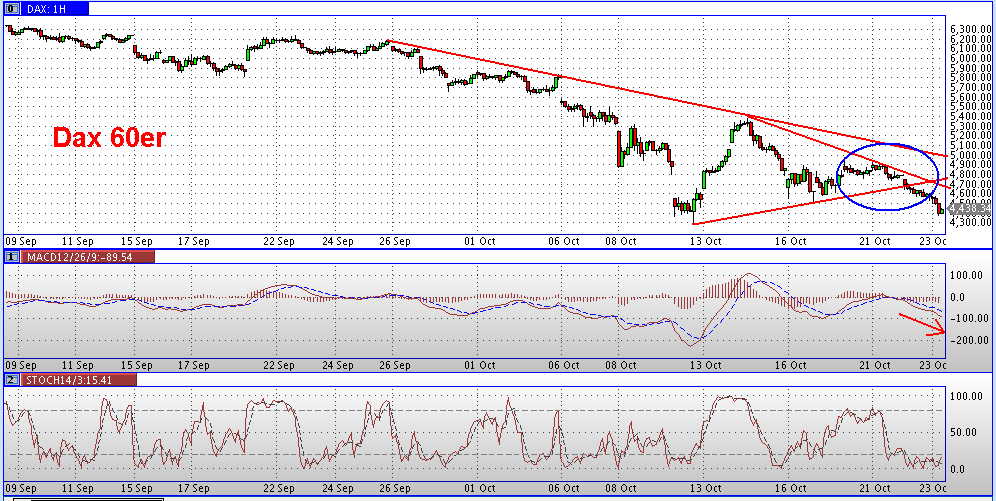 Die Bullen scharren gar nicht mit den Hufen, 194658