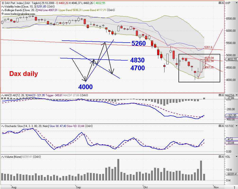 Die Bullen scharren gar nicht mit den Hufen, 195925