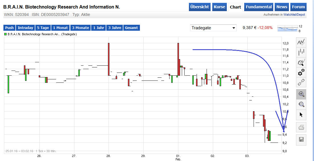 B.R.A.I.N. Biotech. Research And Information Aktie 891049