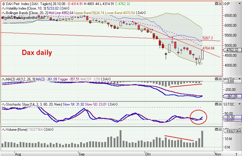 Die Bullen scharren gar nicht mit den Hufen, 195739