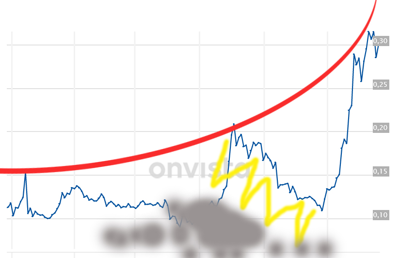 Steinhoff Informationsforum 1294850
