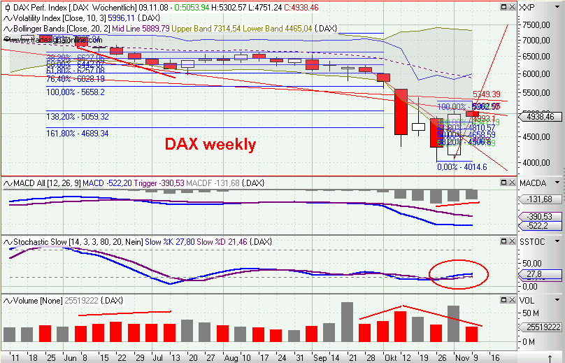 Die Bullen scharren gar nicht mit den Hufen, 197997