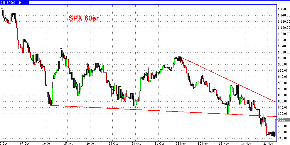 Die Bullen scharren gar nicht mit den Hufen, 201423