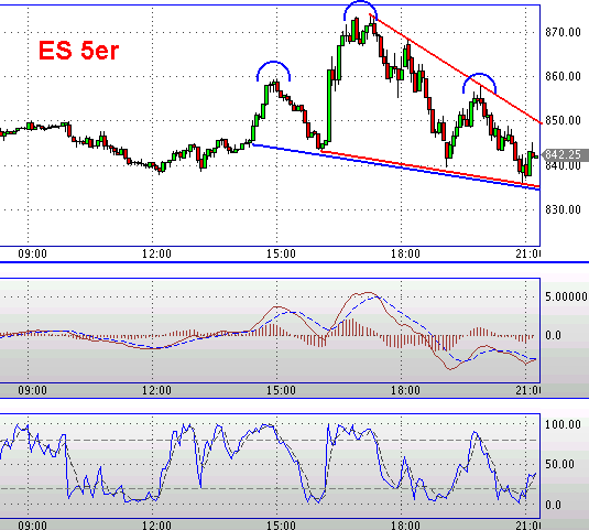 Die Bullen scharren gar nicht mit den Hufen, 201889