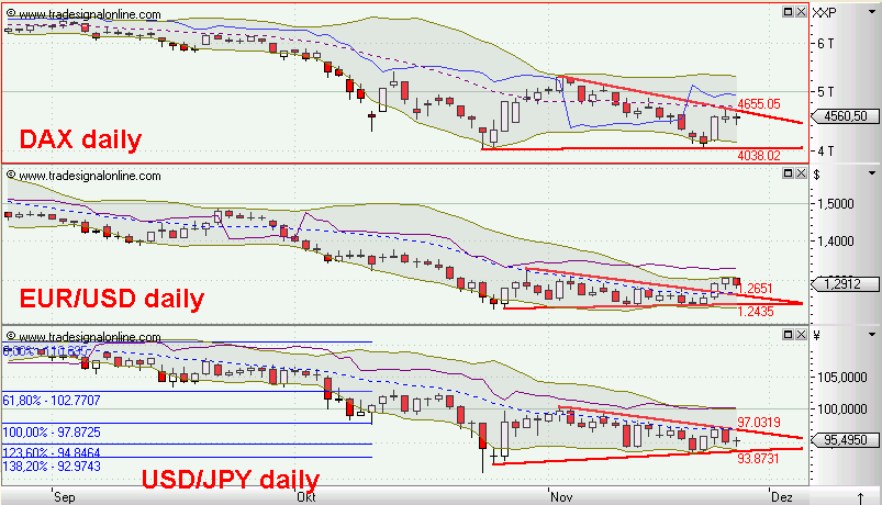 Die Bullen scharren gar nicht mit den Hufen, 202139