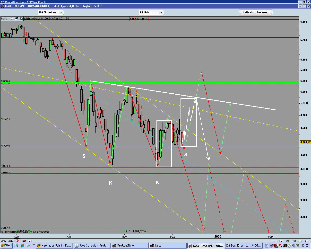 Die Bullen scharren gar nicht mit den Hufen, 204128