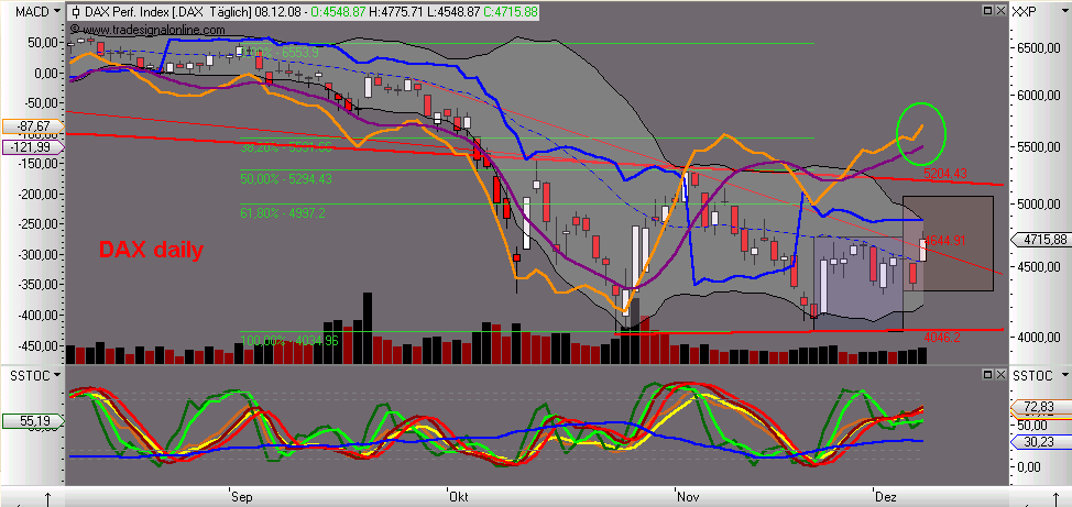 Die Bullen scharren gar nicht mit den Hufen, 204401