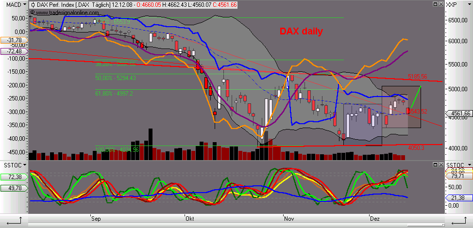 Die Bullen scharren gar nicht mit den Hufen, 205189