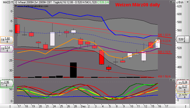 Die Bullen scharren gar nicht mit den Hufen, 205897