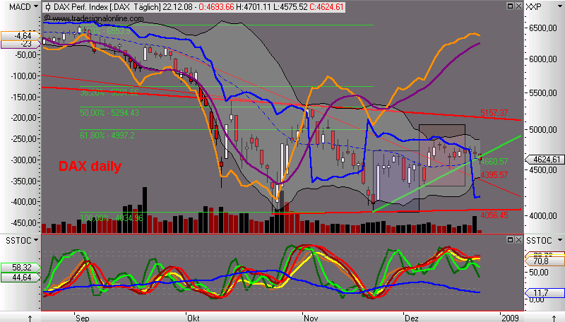 Die Bullen scharren gar nicht mit den Hufen, 206947