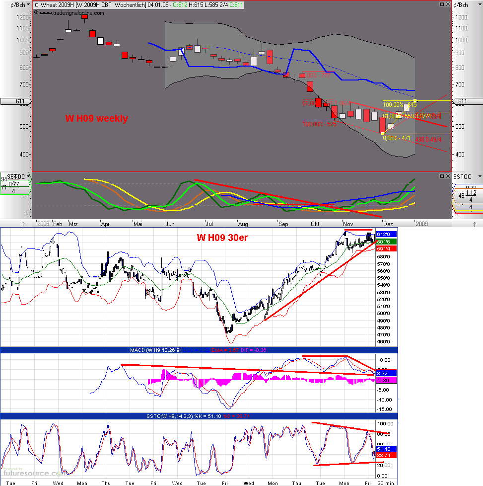 Die Bullen scharren gar nicht mit den Hufen, 208380