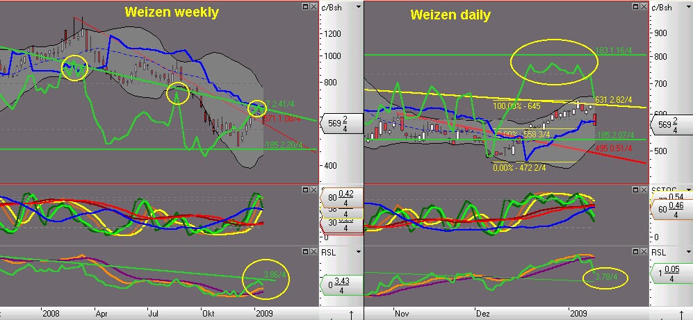 Die Bullen scharren gar nicht mit den Hufen, 210007