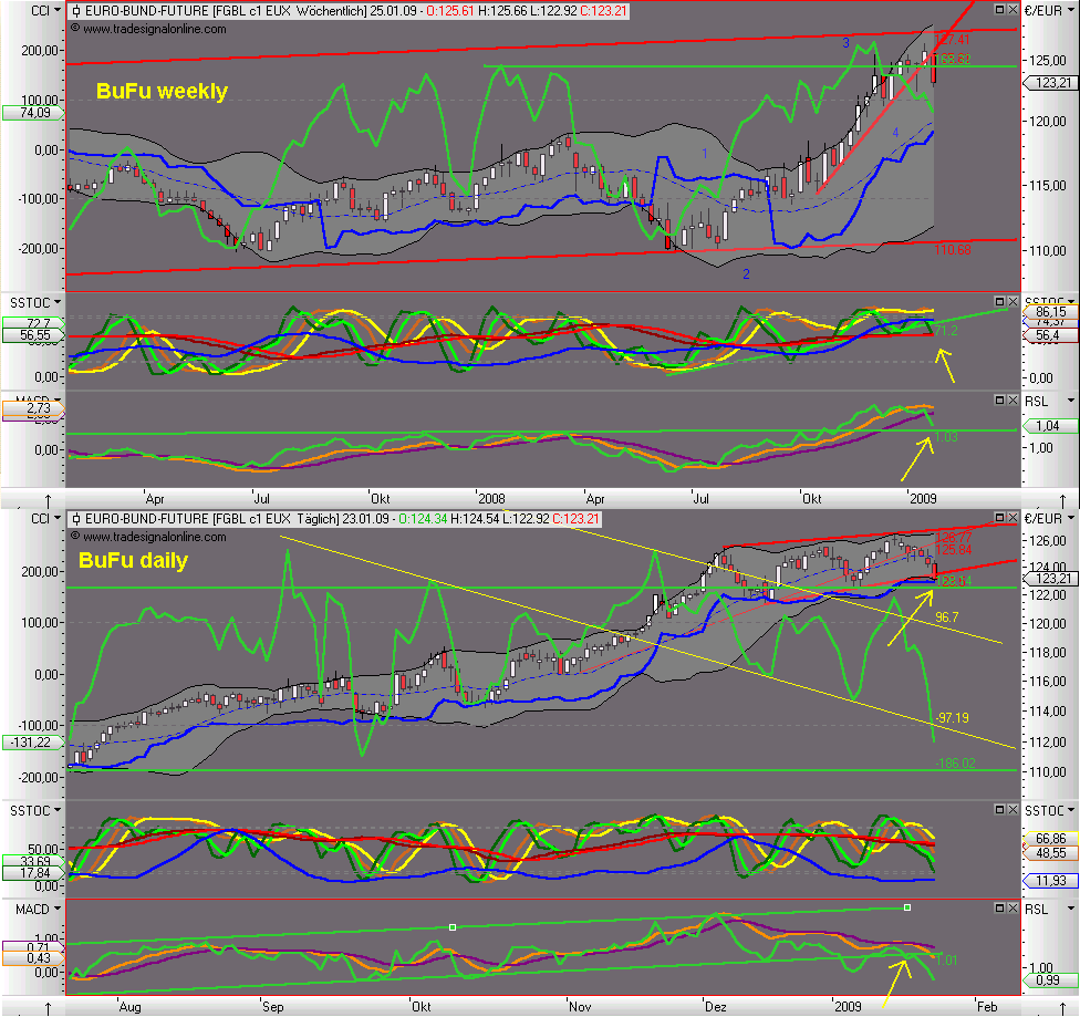 Die Bullen scharren gar nicht mit den Hufen, 212587